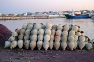 Amphore pour poulpe pêché à l’amphore